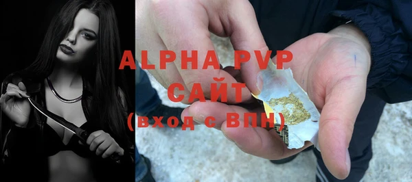 дживик Ростов