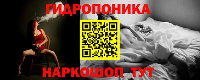 прущие грибы Бийск