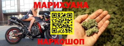 прущие грибы Бийск