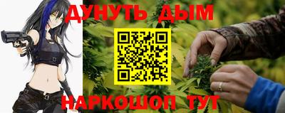 прущие грибы Бийск