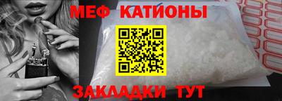 прущие грибы Бийск