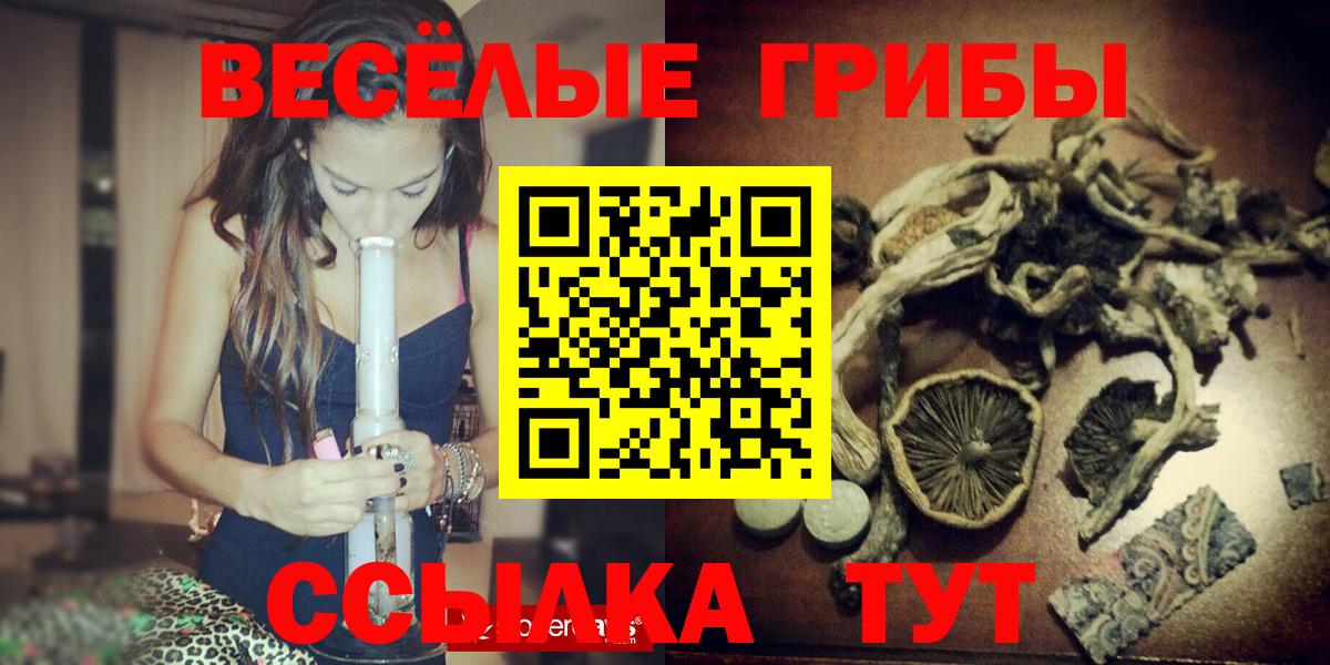 Зеленокумск  Псилоцибиновые грибы ЛСД  купить наркотик  Галлюциногенные грибы Psilocybe  Вход с VPN 